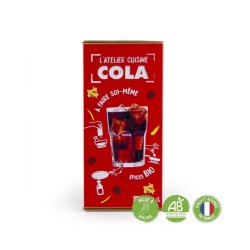 Vyrob si sám sirup na výrobu  Coly z bio korenia