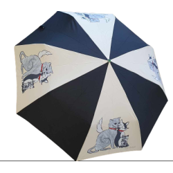 Skladací dámsky dáždnik -...