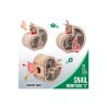 Pokladnička Slimák - 3D puzzle - mechanický model