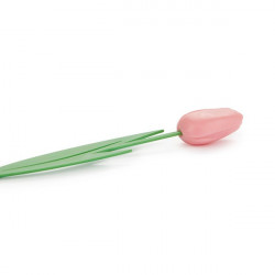 Záložka do knihy Tulipán ružový